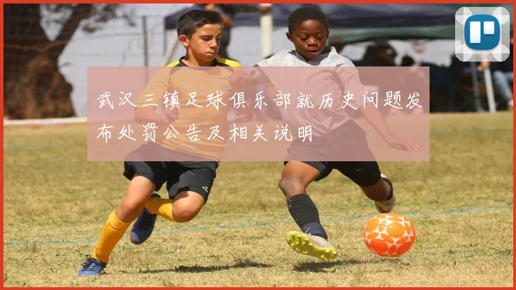 武汉三镇足球俱乐部就历史问题发布处罚公告及相关说明